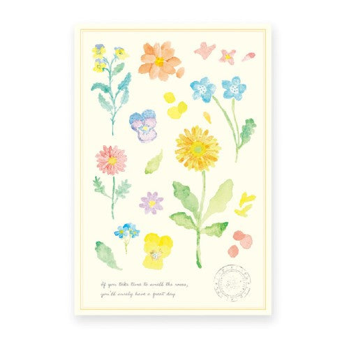 RYURYU Postcard Variety Postcard Flower Specimen VP19