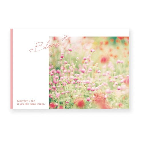 RYURYU Postcard Variety Postcard Sennichikou VP21