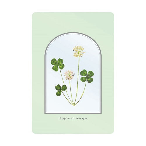 RYURYU Greeting Card Transparent Card Clover TOC07