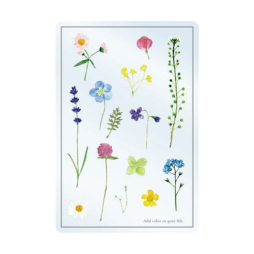 RYURYU Greeting Card Transparent Card Pressed Flower TOC08
