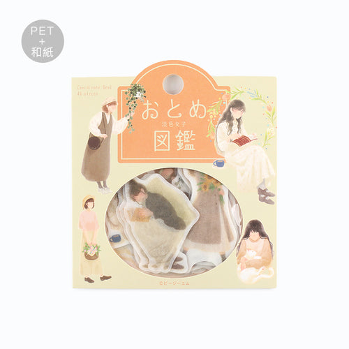 BGM Coordination Sticker Virgin Picture Book/Light Color Girls 15 designs x 3 45 sheets Virgin Picture Book/Light Color Girls BS-CS034