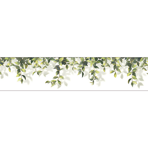 Mind Wave Tape Clear Tape 30mm Width Hakuoshiko Morebi 95421
