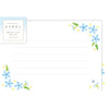 Furukawa Shiko Letter Set, Letter Beauty, 12 조각의 문구 (2 개의 패턴 구색), 6 개의 봉투, 축하 블루 스타 LTB3