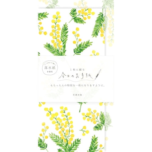 Furukawa Shiko Letter 세트, 오늘의 편지, 4 개의 편지지, 2 개의 수직 봉투, Mimosa lik18